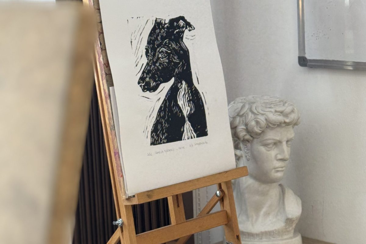 LINOGRAVURĂ